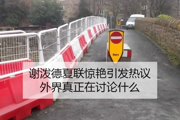 谢泼德夏联惊艳引发热议 外界真正在讨论什么
